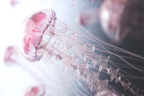 http://xiamen.qqkaixin.com/post/193.html|厦门供卵助孕