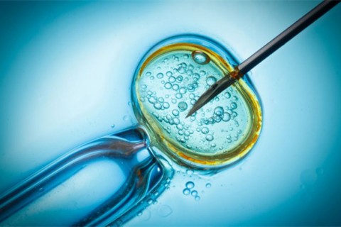 http://xiamen.qqkaixin.com/post/199.html|厦门供卵助孕